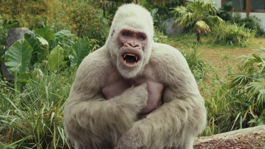 Rampage - Big meets Bigger backdrop 11