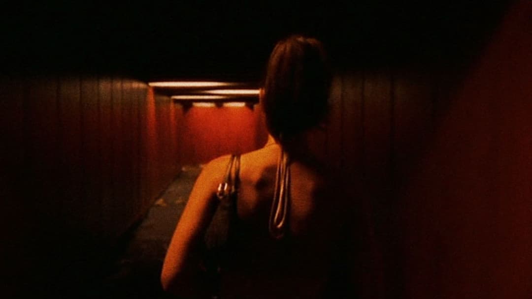 Незворотність backdrop 7