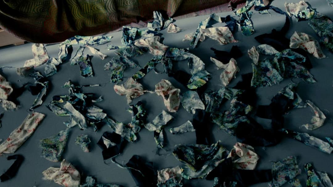 Die Haut, in der ich wohne backdrop 16