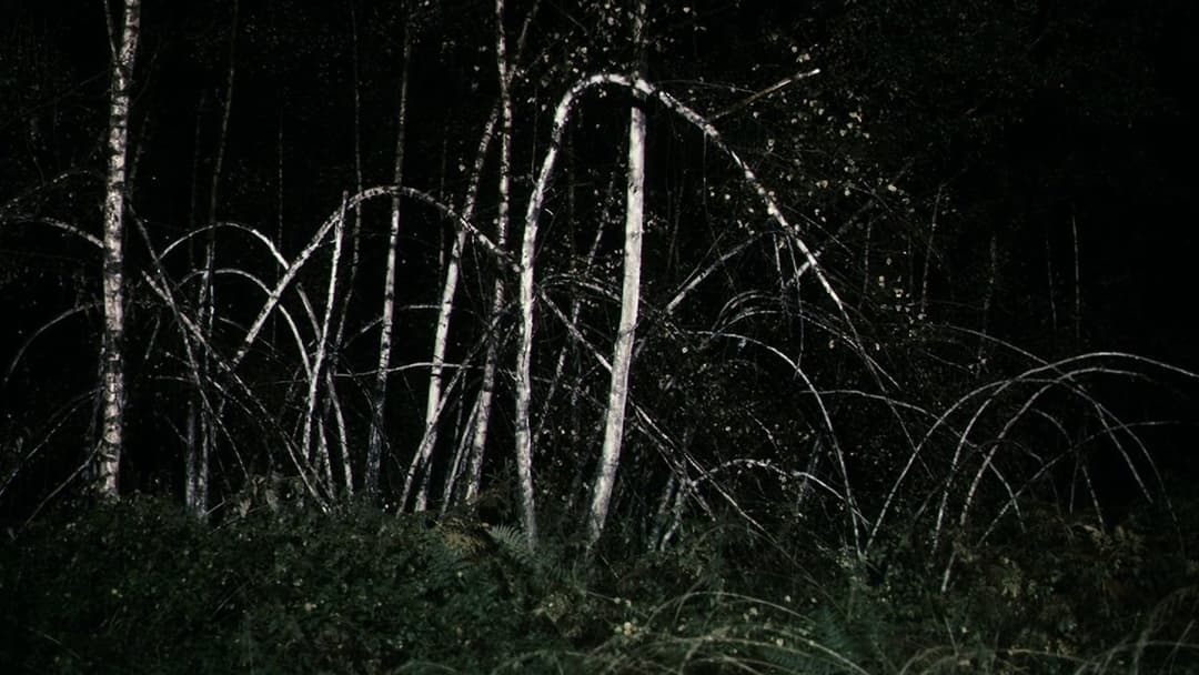 Antichrist backdrop 5