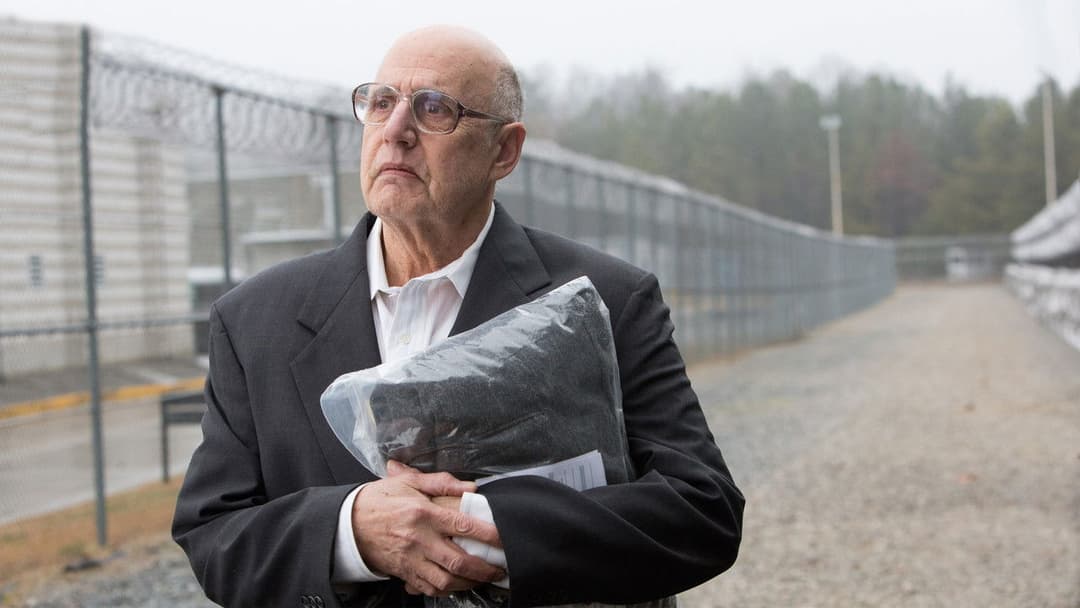 Аудитор backdrop 11