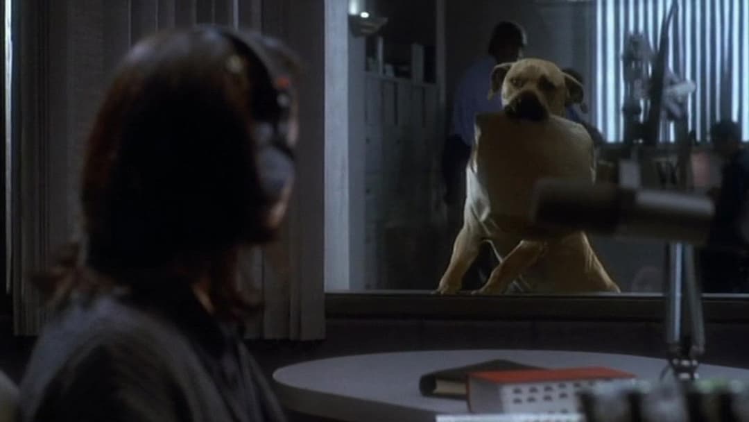 Lügen haben lange Beine backdrop 14