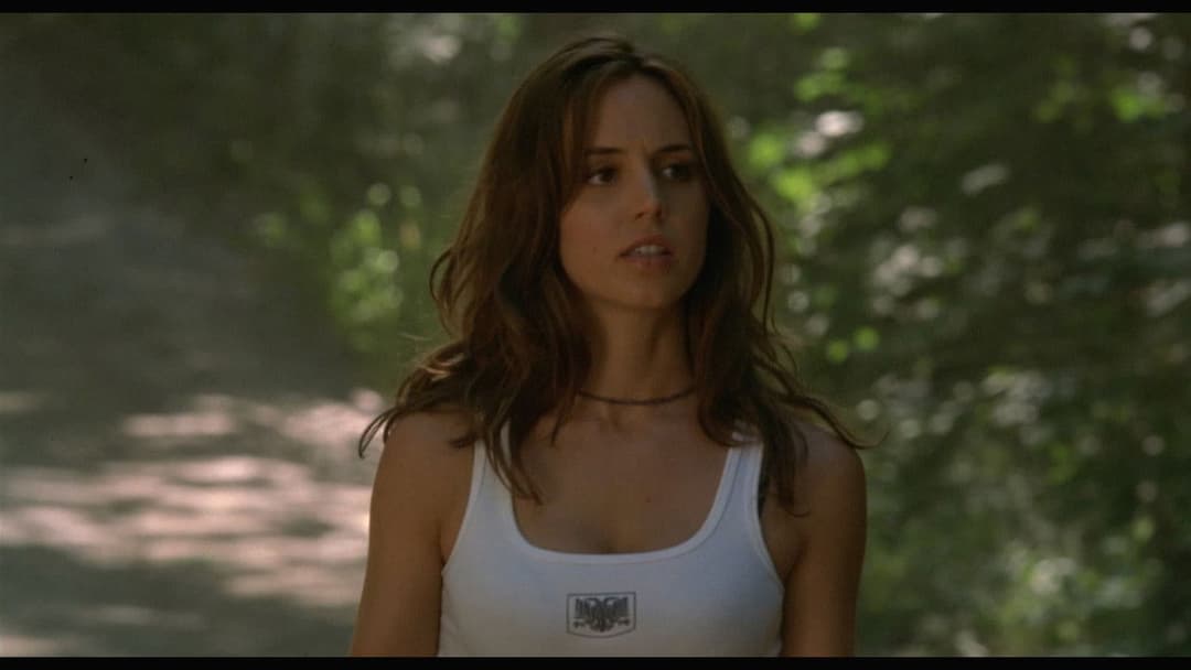 Wrong Turn backdrop 13