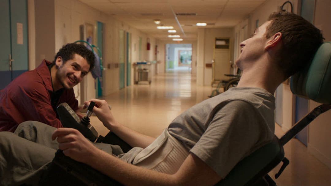 Lieber leben backdrop 6