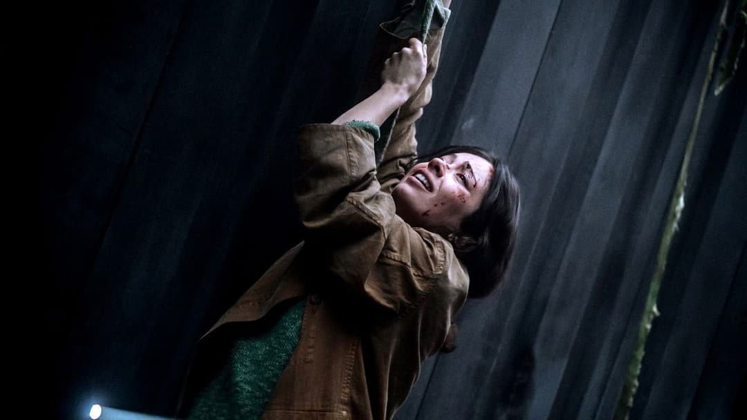 Ніде backdrop 11