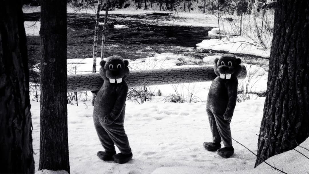 Hundreds of Beavers backdrop 6