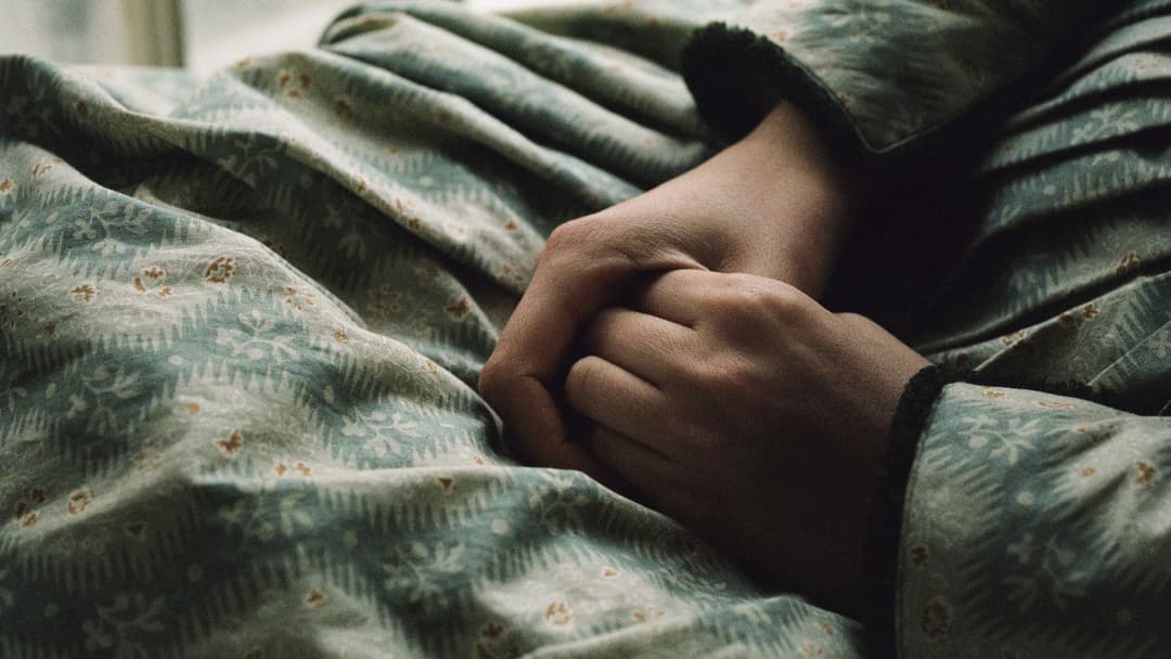 Ammonite backdrop 11