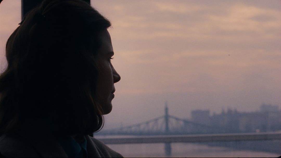 Felkészülés meghatározatlan ideig tartó együttlétre backdrop 19