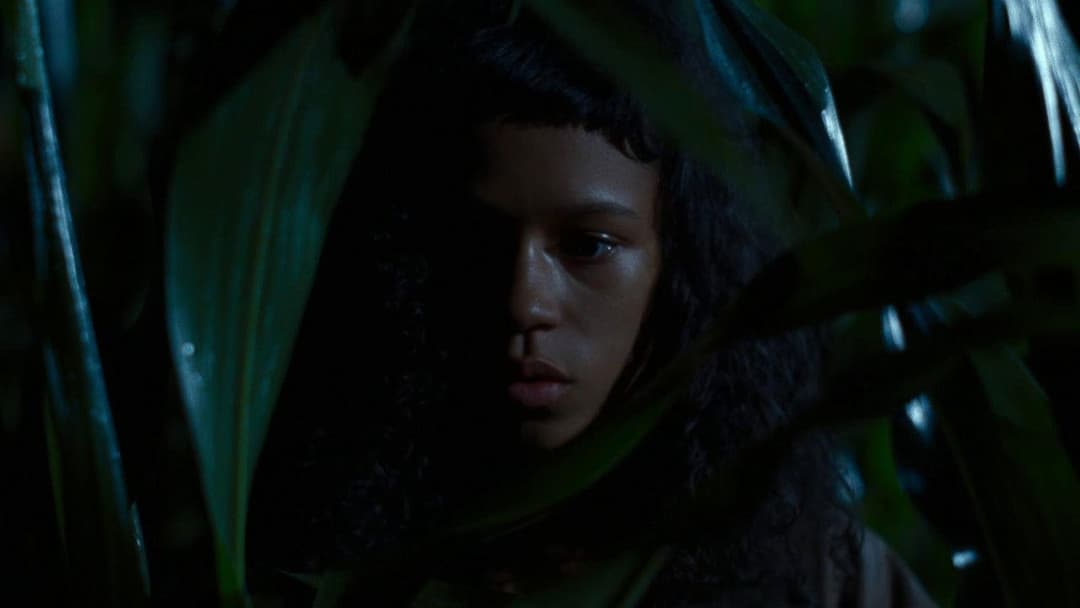 Bones and All backdrop 18