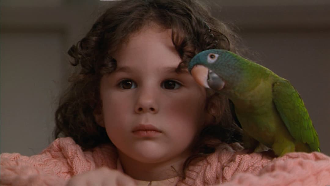 Paulie - Ein Plappermaul macht seinen Weg backdrop 7