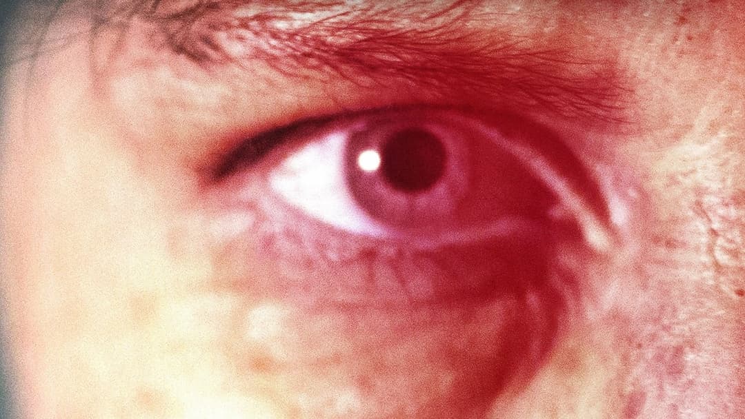 Час відплати backdrop 10