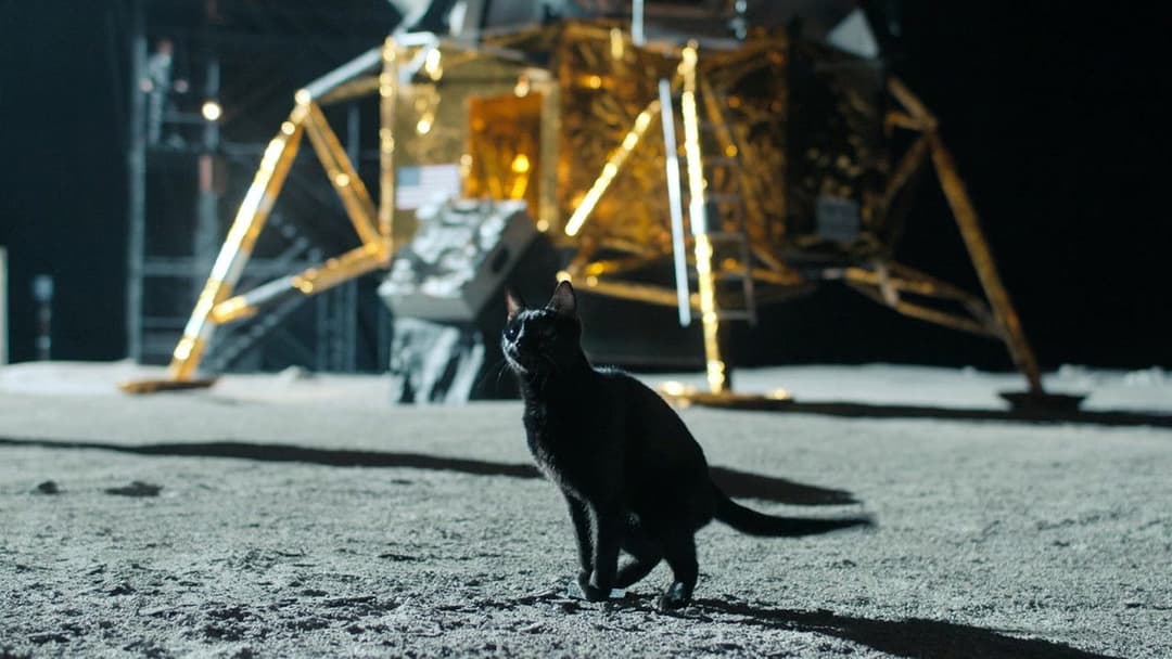 Забери мене на місяць backdrop 9