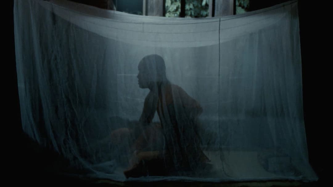 Дядечко Бунмі, який пам'ятає свої минулі життя backdrop 12