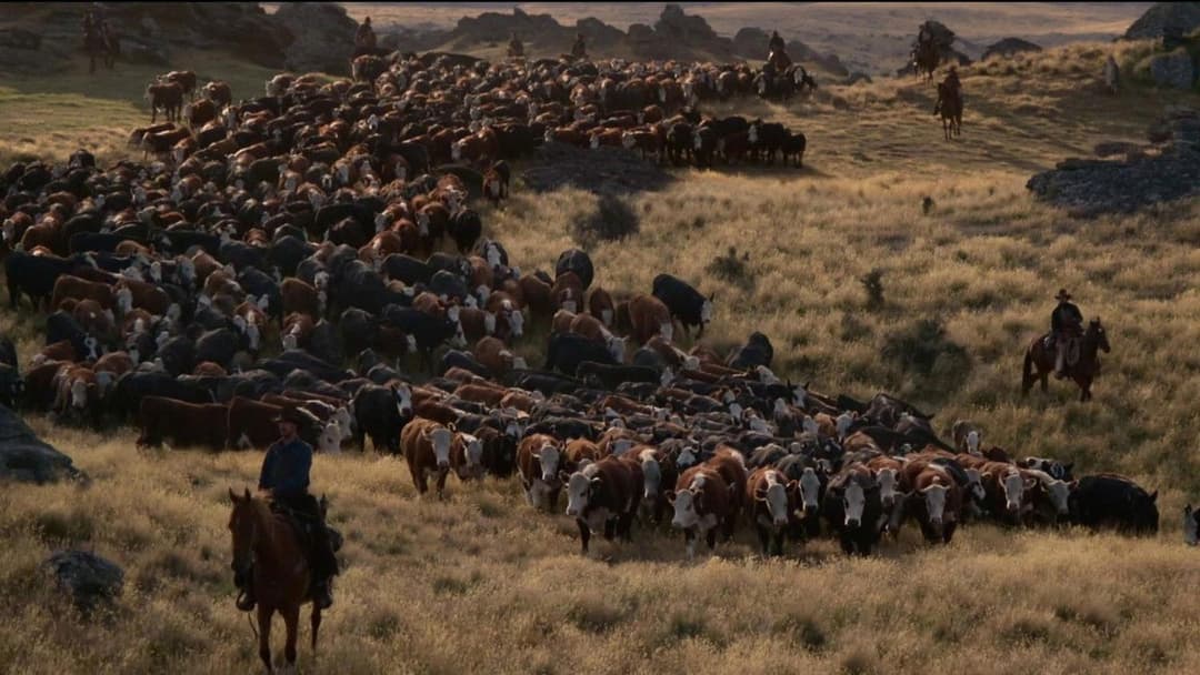 The Power of the Dog backdrop 17