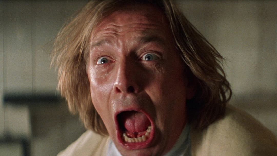 Guest House Paradiso backdrop 5