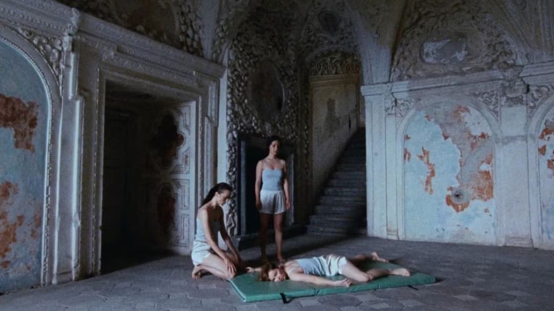 Glorious Summer backdrop 3