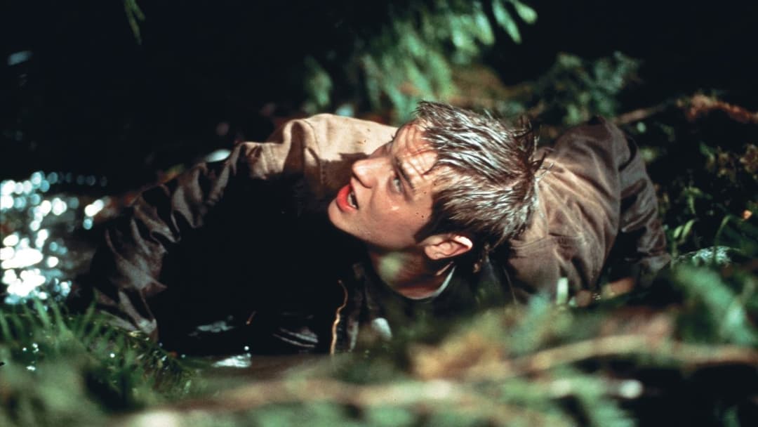 Пункт призначення backdrop 12