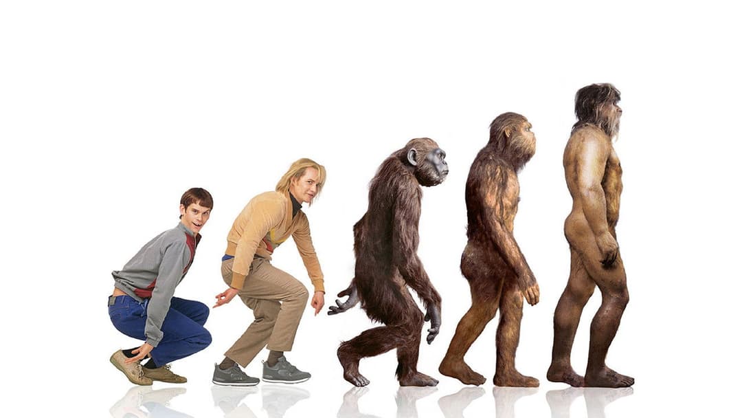 Dumm und Dümmer backdrop 13