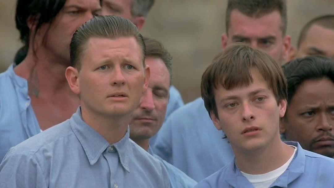 Animal Factory backdrop 6