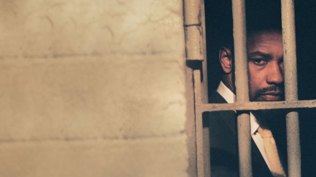 Hurricane backdrop 11