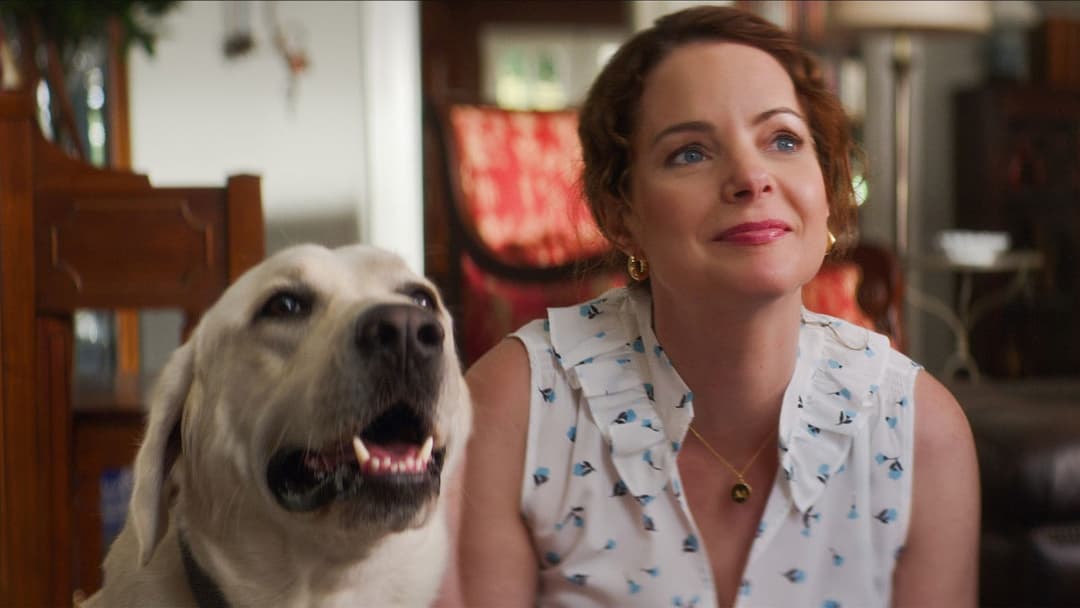 Dog Gone backdrop 11