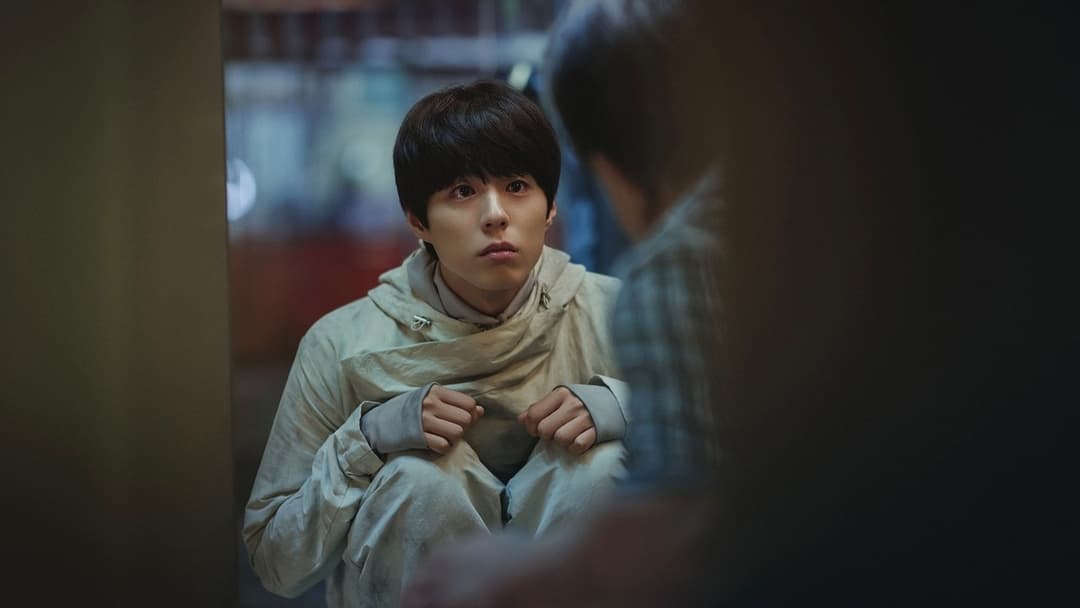 Собок backdrop 6