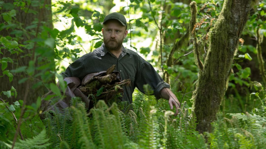 Не залишай слідів backdrop 6