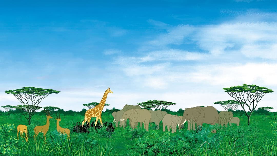 Kirikou et les bêtes sauvages backdrop 10