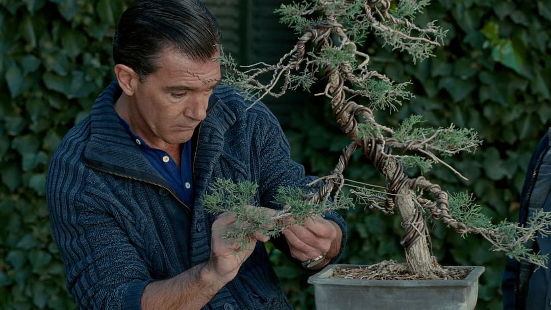 Die Haut, in der ich wohne backdrop 15