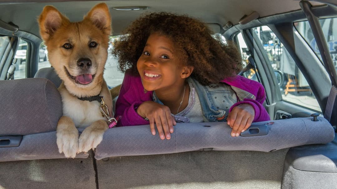 Енні backdrop 14