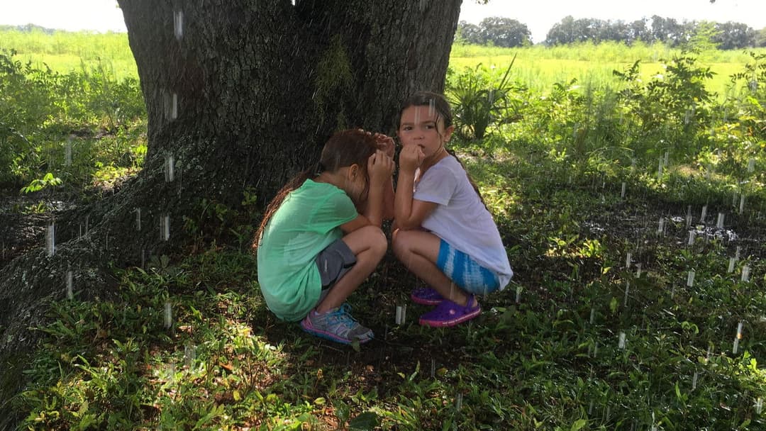 The Florida Project backdrop 12