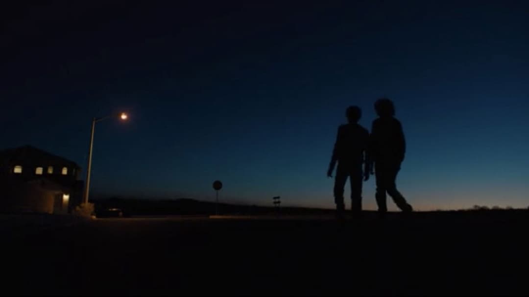 Der Distelfink backdrop 17