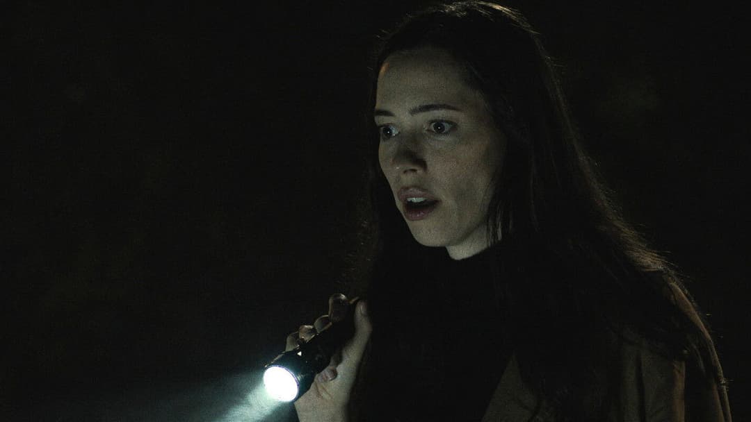 The House at Night backdrop 18