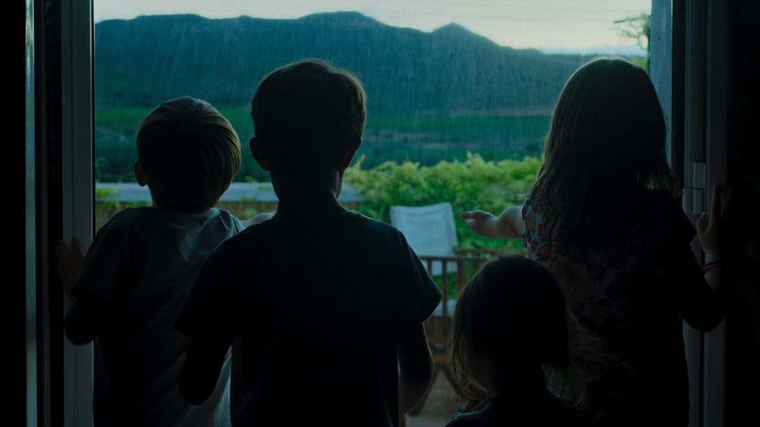 Alcarràs - Die letzte Ernte backdrop 11