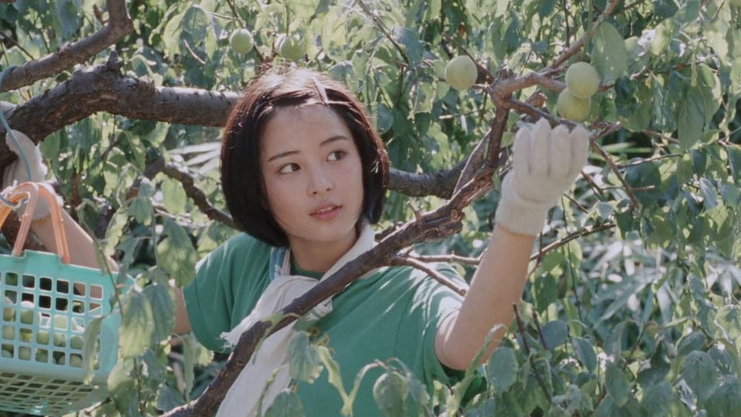 海街diary backdrop 16