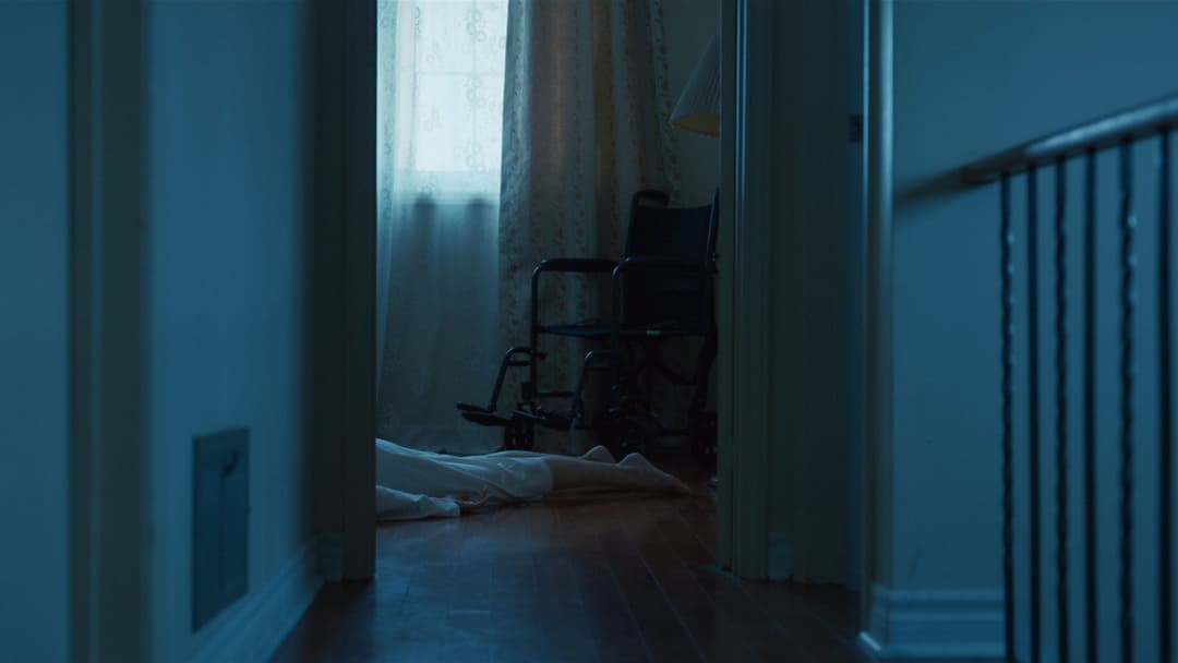 undertone backdrop 12