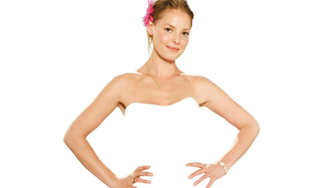 27 Dresses - Kleider machen Bräute backdrop 3