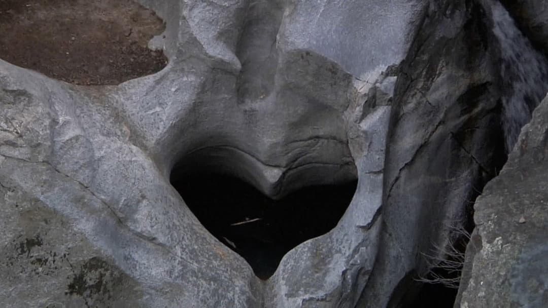 Виродок backdrop 12