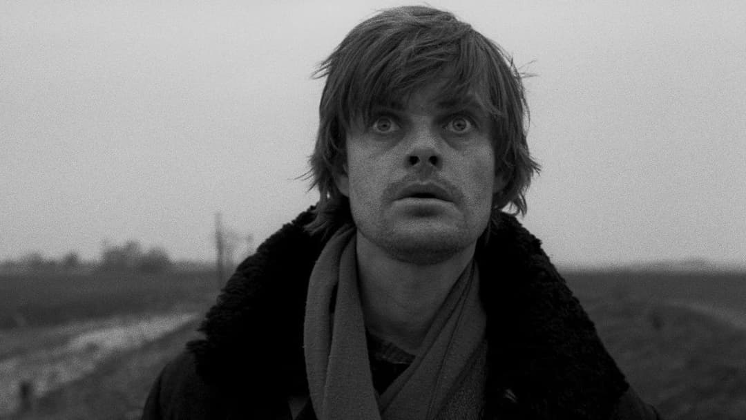 Die Werckmeisterschen Harmonien backdrop 6