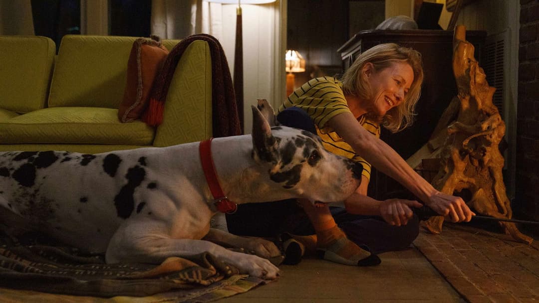 Loyal Friend backdrop 13