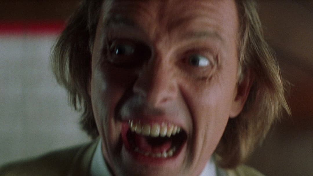 Guest House Paradiso backdrop 8