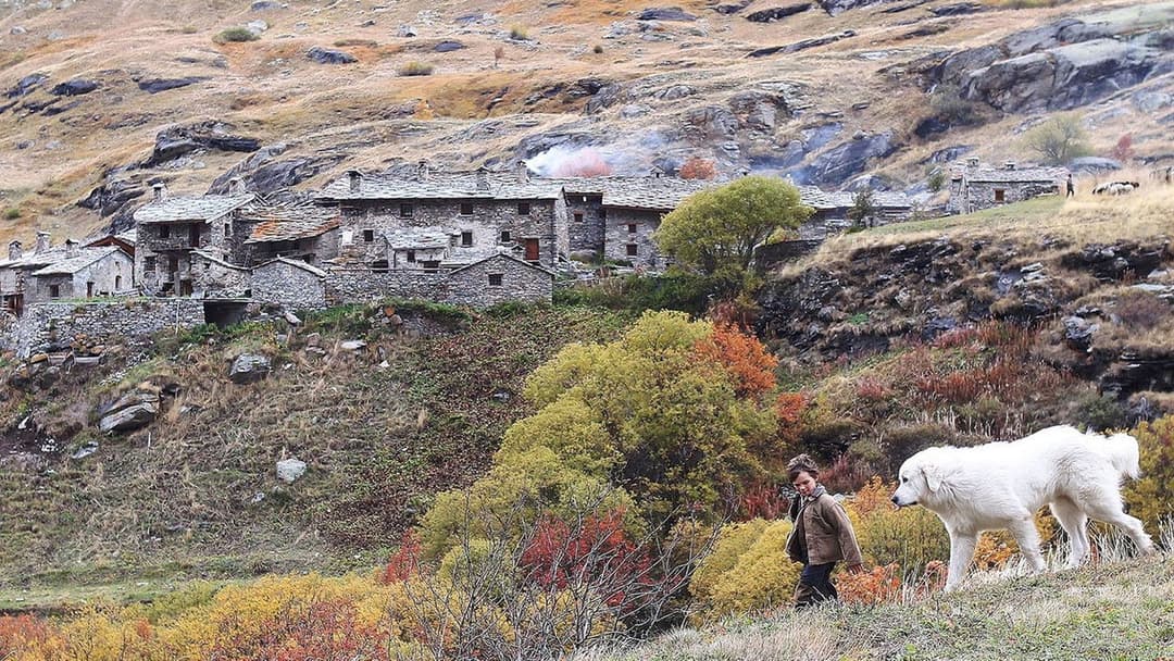 Белль і Себастьян backdrop 5