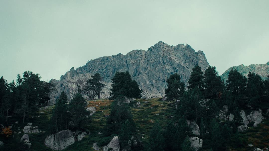 Sempre, sempre backdrop 4