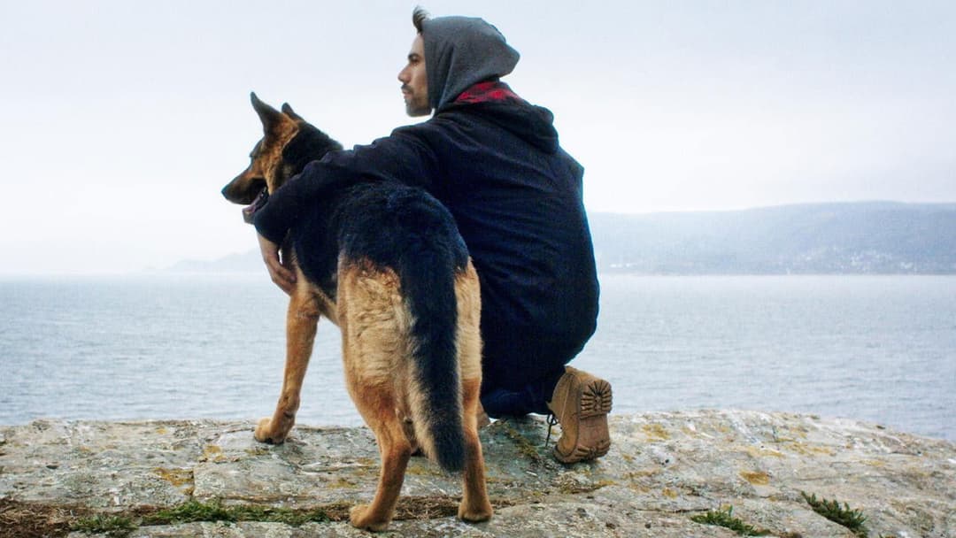 Los fuertes backdrop 8