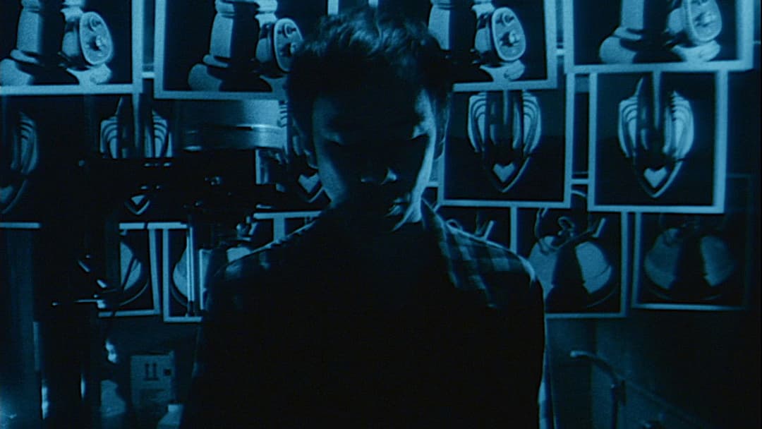 A Snake of June backdrop 4