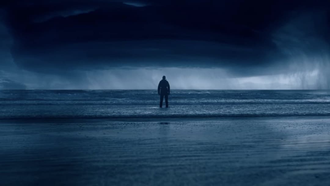 Анемона backdrop 3