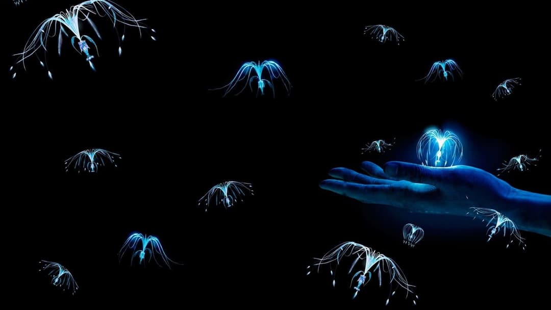 Avatar - Aufbruch nach Pandora backdrop 15