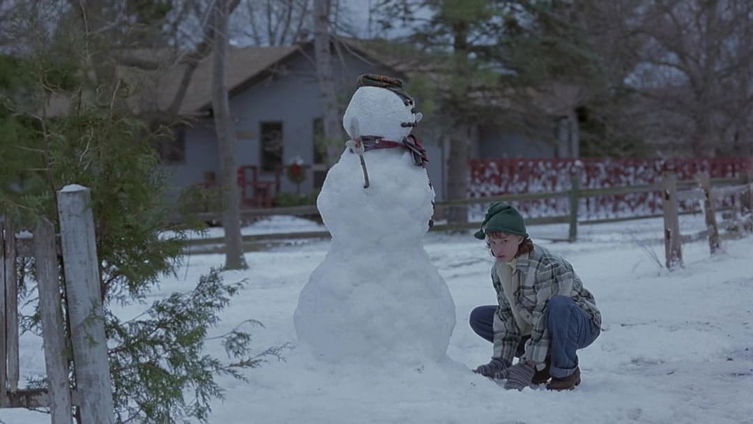 Beautiful Girls backdrop 5