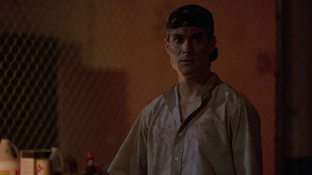 Швидкий вогонь backdrop 11