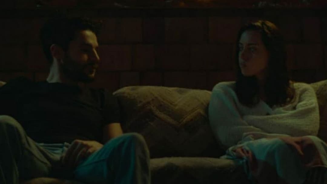 Чорний ведмідь backdrop 15